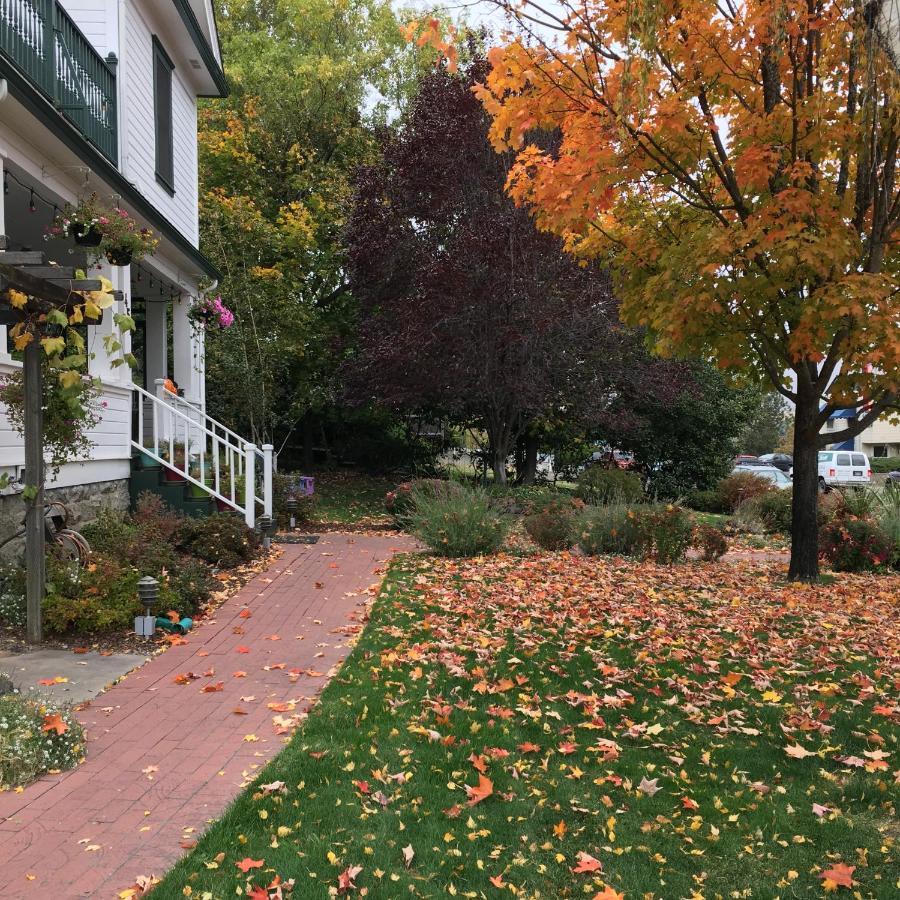 Abigail'S Bed And Breakfast Inn 阿什兰 外观 照片